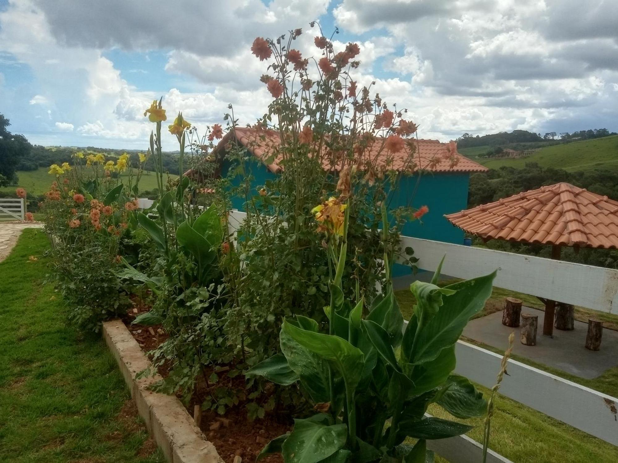 Horizonte Pedras